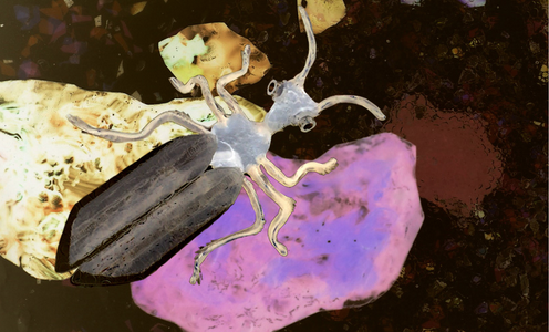 Screen Shot 2024-11-06 at 10.33.12